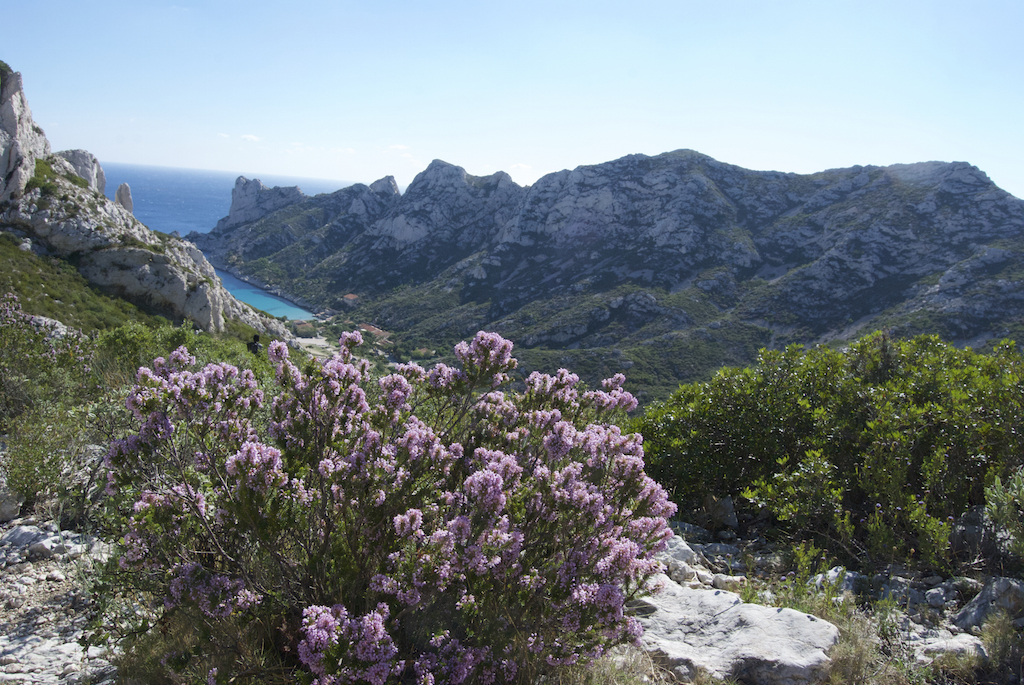 Calanques